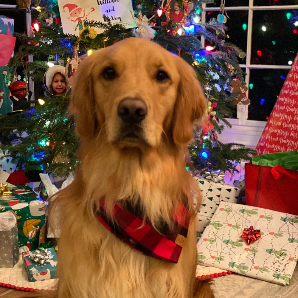 Meet your Posher, MS